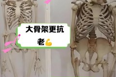 泡泡袖太蓬了可以缝小吗，泡泡袖太长了怎么改短？