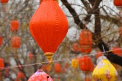 过年挂的灯笼要一年一换吗，过年挂的灯笼要一年一换吗视频？