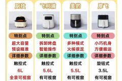 空气炸锅单锅好还是双锅好，空气炸锅单锅好还是双锅好用
