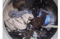 湿衣服上面有很多纸屑怎么办_衣服上沾了湿纸屑怎么弄掉