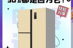 冰箱不制冷是插座的原因吗_冰箱不制冷插电没反应