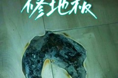木地板烧黑了好大一块怎么处理，木地板被烧黑了？