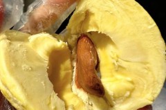 冻榴莲可以煎着吃吗，冷冻榴莲可以煮着吃吗