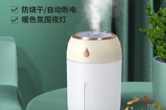 加湿器干烧一夜会坏吗_加湿器干烧会怎么样