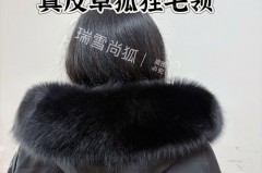 貉子毛领不顺怎么办，貉子毛领好么