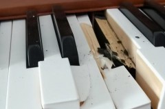 钢琴防潮管通电后能弹琴吗，钢琴放防潮管？