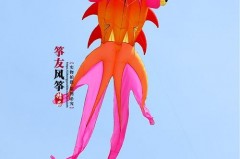 风筝为什么见远不见高，风筝为什么见远不见高远