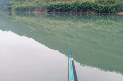 四川禁渔期可以钓鱼吗，四川禁渔期新规定2021可以钓鱼吗