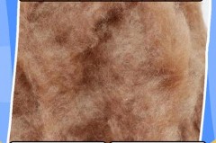 驼绒能水洗嘛_驼绒水洗缩水吗