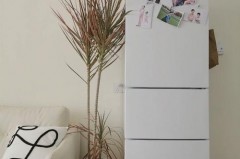 三层冰箱中间一层是放什么的，三层冰箱中间层是干嘛的？