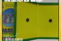 老鼠板粘在手上怎么弄，老鼠板粘在手上怎么弄掉？