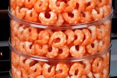 优质深海磷虾的加工技术是什么_优质磷虾怎么吃