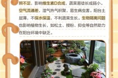 为什么阳台种菜不能吃，种菜是聚财还是破财？