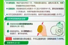 猕猴桃最佳保存方法，血糖高能吃猕猴桃吗