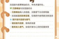 普通加湿器是否不能加精油，加湿器能添加精油吗？