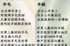 圈圈绒的衣服怎么清洗_圈圈绒面料