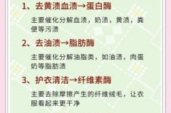 内衣变黄怎样清洗，内衣变黄怎样清洗干净？