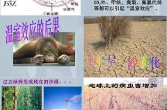 二氧化碳的减少跟什么有关系，二氧化碳减少会导致什么？