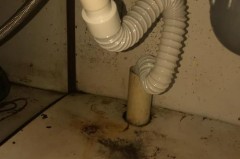 下水道堵塞属于物业管理范围吗，下水道堵塞是物业负责呢还是业主负责？