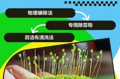 水管里长青苔有什么解决_水管内壁长青苔怎么去除?