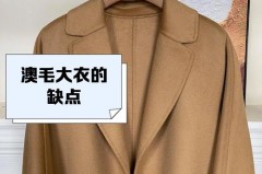 全澳毛大衣易皱是质量不过关吗_全澳毛大衣易皱是质量不过关吗为什么