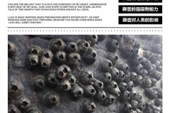 人类为什么不把藤壶灭绝_人类为什么不把藤壶灭绝的原因