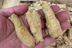 三合土是什么_三合土是什么时候出现的