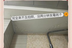 包含屋里棚顶发霉怎么回事的词条