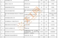 项目名称是什么意思_项目名称怎么填写