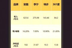 中国李宁卫衣怎么那么贵，中国李宁卫衣什么意思？