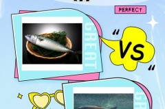 鲭鱼是什么鱼，鲭鱼尽量少吃的原因