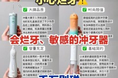 冲牙器哪个牌子好用_清牙器哪个牌子好