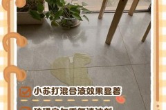 地毯上宠物尿渍怎么清洗_地毯上的宠物尿渍