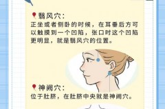 晕车贴贴一只耳朵还是两只，晕车贴贴一只耳朵还是两只耳朵？