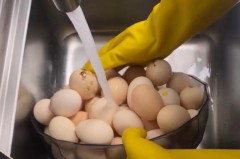 新鲜鸡蛋外壳脏怎么搞_新鲜鸡蛋外壳脏怎么搞干净呢