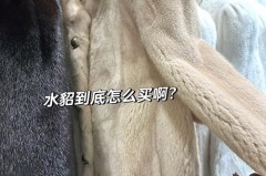 彩色的貂皮大衣会褪色吗，彩色貂皮大衣颜色变花了怎么办