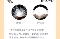 鹅绒一般比鸭绒贵多少，鹅绒比鸭绒暖和吗 知乎？