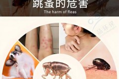 花露水喷床上能驱虫吗，花露水喷到床上有没有危害