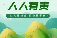 森林防火知识内容_森林防火知识内容手抄报
