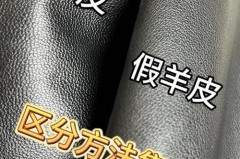 真皮皮衣为什么只能标羊皮革_真皮皮衣为什么那么贵