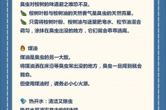 臭虫怎么消灭最简单快速的方法_臭虫怎么消灭最简单快速的方法辣椒图片