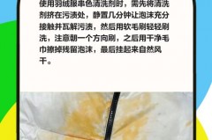 米色羽绒服弄上油怎么洗，米色羽绒服上的黄渍怎么清除