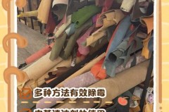 皮衣发霉怎么办小窍门_皮衣发霉怎么办小窍门视频