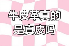鞋上写的是牛皮革是真皮吗，牛皮革算不算真皮？