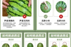 挑西瓜怎么听声音，挑西瓜听声音分辨生熟是什么原理