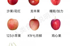 沙果和苹果区别是什么，苹果与沙果子的区别
