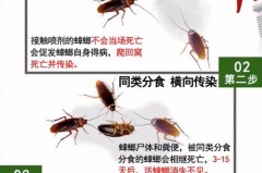 杀蟑胶饵用了半个月还看见蟑螂怎么回事，杀蟑胶饵挤多了