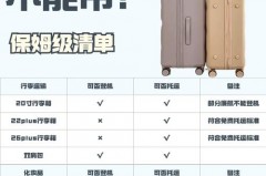 两万毫安充电宝可不可以带上飞机，2万毫安充电宝能不能带上飞机