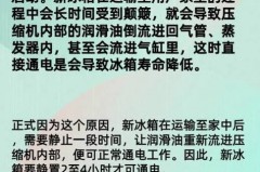 冰箱买回家不能马上插电吗，冰箱买回来可以不插电吗？