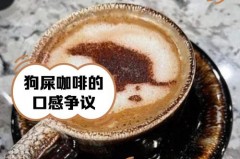 狗舔过的水杯还能用吗_狗舔了杯子怎么办